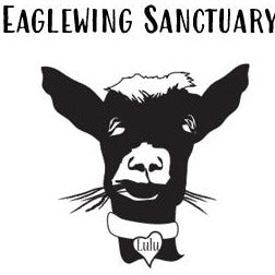 Eaglewing Sanctuary FUN'draiser - Advanced Round Robin Mixer